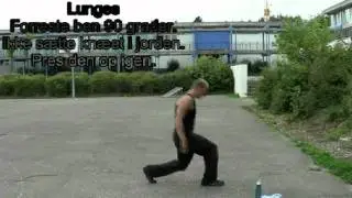 Grundtr&aelig;ning