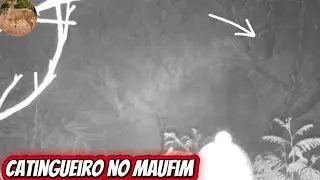 Catingueiro no maufim visão tava muito ruim 