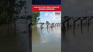 Punjab Flood: India-Pakistan Border Submerged As Flood Water Crossed International Border #shorts