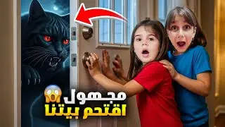قطة شريرة اقتحمت بيتنا بنص الليل😱خلت دهب وألماس يزعلوا ويبكوا بالنهاية😭