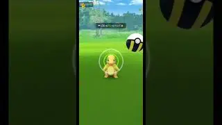charmender community day//catch shiny charmender 850 cp