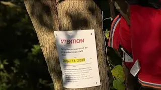 Residents upset as crews clear out South Philly homeless encampment
