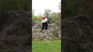Bergsteigen | TddE Walk | Halle Furs | 03. Oktober 2024 | #Furry | Tankii