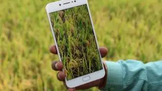 Обзор Vivo V5: характеристики и основные функции | 20-мегапиксельная селфи-камера