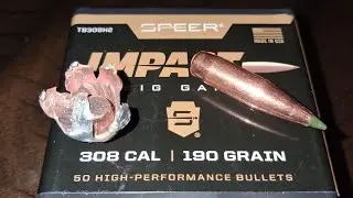 190gr Speer Impact .300 Wby