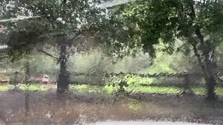 It was really coming down for a second there.  Hard rain in Hollywood Ca. - Rain ASMR