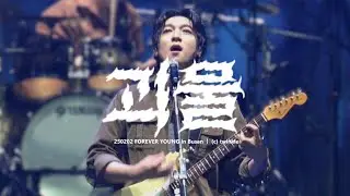 250202 괴물 - 데이식스 성진 직캠 (DAY6 SUNGJIN focus) @FOREVER YOUNG in Busan