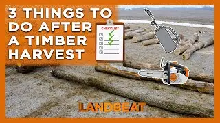 3 Critical Steps After A Timber Harvest!
