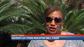 REALITY CHECK Eight Mile Residents Report Mercaptan Smell After Hurricane Nate. NBC 15