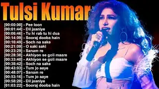 🎶 Tulsi Kumar &ndash; Each album demonstrates her growth, vocal precision, and musical versatility 🎷