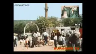 MARDİN VE İLÇELERİ