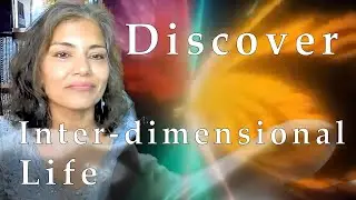 Discover Your Quantum Being!
