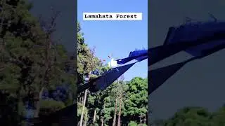 Lamahatta Lake Travel video | Lamahata | travel WhatsApp status #shorts #darjeeling #lamahatta