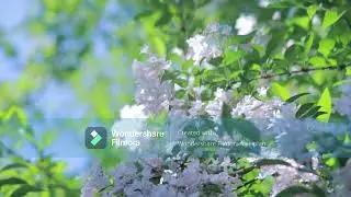 Extreme Relaxing Sleep Music, Stress Relief, Meditation Music ,Sleep, Study Music, Yoga, Spa Music.