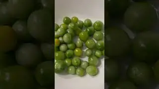 🌈🌟Green Cherry Tomato #asmr #trending #viral #shortsvideo #viralvideo #viralshort #shorts