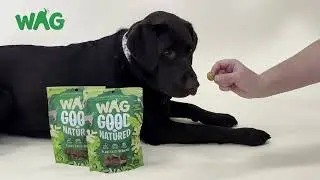 Say hello to WAG Good Natured &ndash; our new range of eco-friendly dog treats