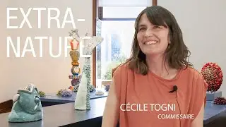 Cécile Togni: commissaire d'exposition | Antonio Vasconcelos Lapa | Artiste contemporain