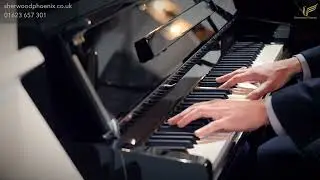 Danemann 110 Upright Piano | Comparison Demonstration Sherwood Phoenix