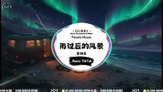 蔡诗芸 - 雨过后的风景 (抖音DJ版) Yu Guo Hou De Feng Jing『恨你 恨着你 当你带来了分离 叫我怎能不恨雨。』【動態歌詞｜Vietsub｜Pinyin Lyrics】