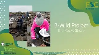 B-Wild The Rocky Shore