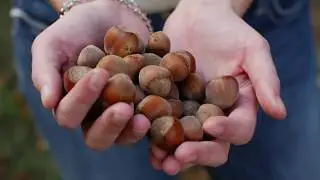Agri Investment Service