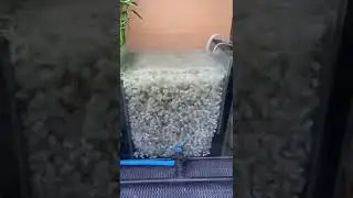 5kg of K1 media chamber setup for the 150g goldfish tank