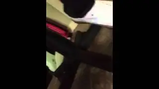 Damn Daniel 