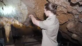 Discover amazing in Western Australia | Ngilgi Cave tour, Margaret River