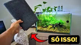 COMO EU FAÇO AS MANUTENÇÕES NO MEU AQUÁRIO COM PLANTAS 