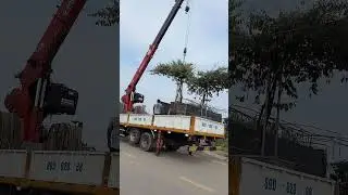 Nh&oacute;t Ngọt B&agrave;n Tr&agrave;