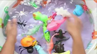 Learn Insects Name Sea Animals Wild Animals into Blue Water Pool for Kids Learn Colors and Name