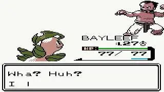 Pok&eacute;mon Gold Silver & Crystal Victory (Gym Leader)