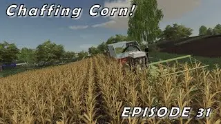 Lubelska Dolina - Ep. 31 - Chaffing Corn!