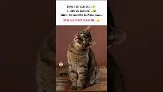 first class 👍 #relatable #cat #funnymemes #funny #popular #viral #music #asthetic #brokenheart
