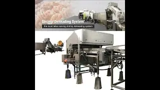 prawn deheading machine, prawn deheading line, prawn head removing machine, prawn head remover