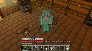 Calming Minecraft Gameplay: Part 17 ( No Voice Over)