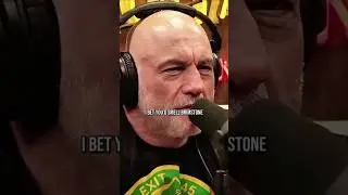 He Felt Pure Evil in Paris&mdash;Joe Rogan Reacts