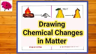 Chemical Changes in matter Examples science Poster Drawing |Easy Diagram for School |Science Project