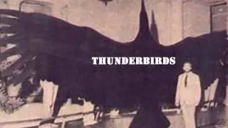 Cryptid Files - Thunderbirds - Episode 4 - Season 1