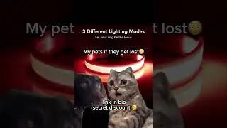 link in bio 🔗🥰 #tiktokmademebuyit #pets #tiktokvideo #tiktok #love #comfort #safety #happiness