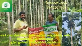 Excellent results on Arecanut by using  Green Planet Bio Products #organicfarming #farming