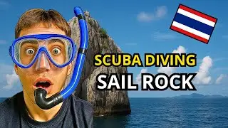 Immergersi a Sail Rock, uno dei siti di immersione più belli della Thailandia