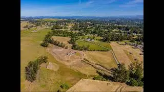 1355 Rose Avenue, Penngrove, CA 94951 - Single Family - Real Estate - For Sale