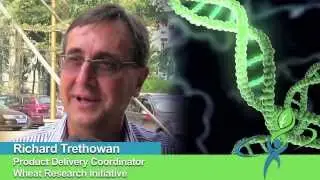 Q&A on wheat research with Richard Trethowan -- Full-length video