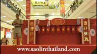 ท่ามวยสัตว์ เส้าหลิน Shaolin Animal form 象形拳 2/5