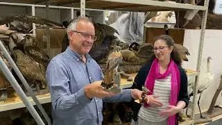 Behind the Scenes-Education Center Bird Case