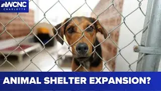 Funding for CMPD animal shelter expansion likely still a few years out
