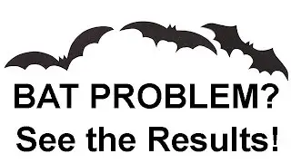 Thousands of Bats Flee! Real Customer Uses Cleanrth CB006 Bat Repeller &ndash; Watch the Proof!
