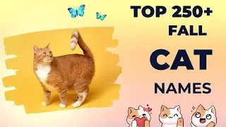 Top 250+ Unique Fall Cat Names for Your Pet