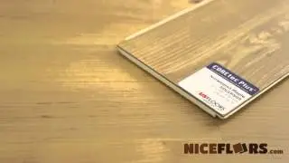50LVP505 Coretec Norwegian Maple by Nicefloors.com